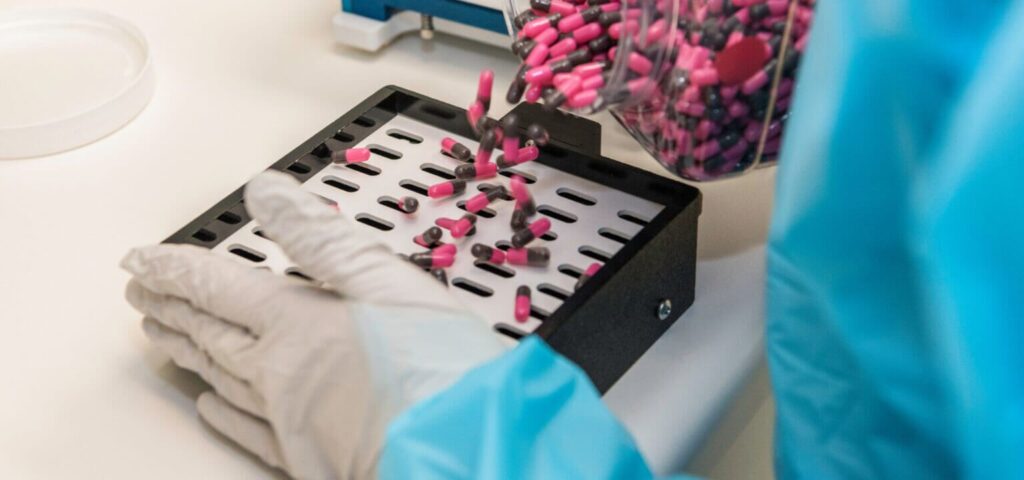 A pharmacist in a laboratory putting pink and black capsules in a pill-counting tray.
